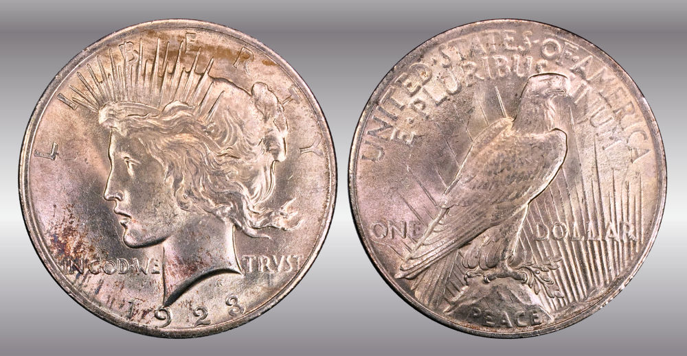 My-Raw-Peace-Dollar-Collection.-.-.-.-Warning!